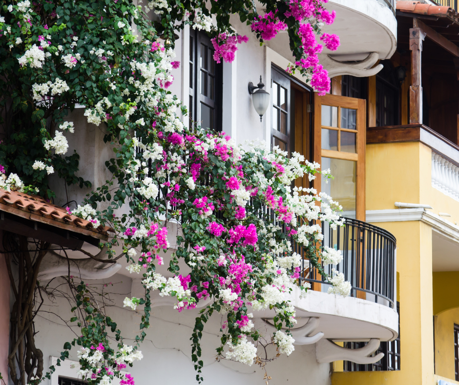 ¿Necesito un agente de bienes raíces? Descubre cómo Servmor Realty en Panamá puede ayudarte.