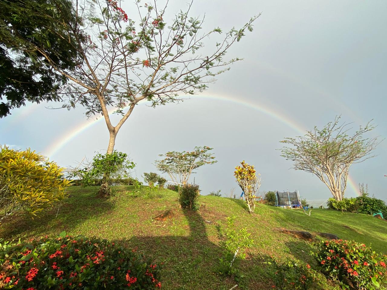 🌿 El Secreto Mejor Guardado de Panamá – Cerro Azul, por Jorge "Tony" Tuñón